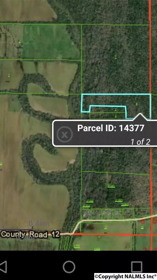 Hollytree, AL 35751,0 County Road 12