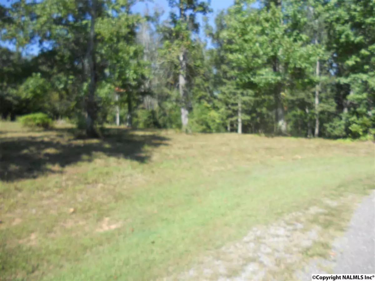 Grant, AL 35747,12 Chera Trail