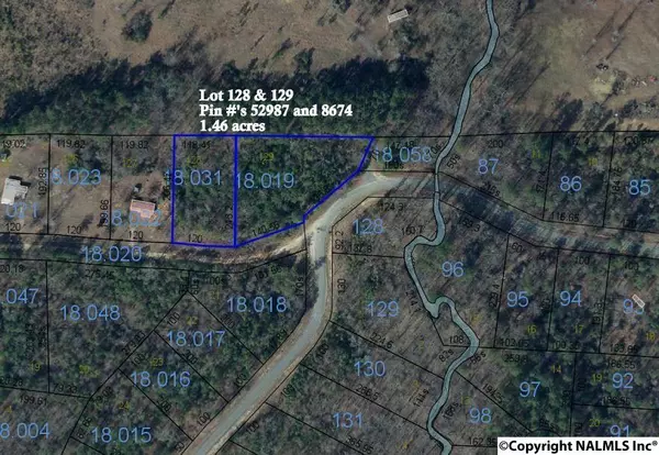 Cedar Bluff, AL 35959,Lot 128 &129 County Road 667