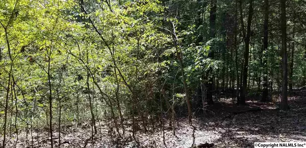 Athens, AL 35614,Lot 96 Dogwood Lane