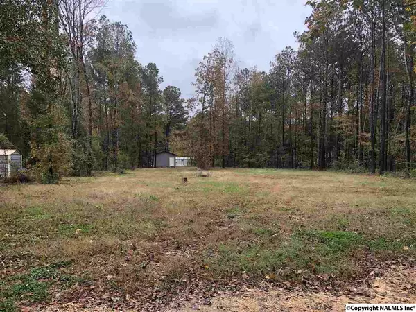 Cedar Bluff, AL 35959,Lot 102 Sewell Ferry Road