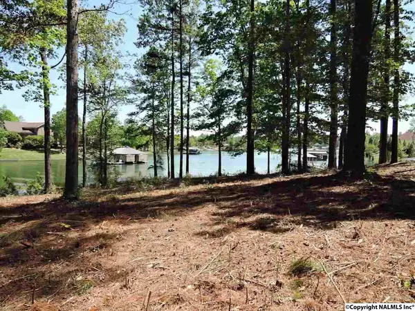 Crane Hill, AL 35053,1190 County Road 175