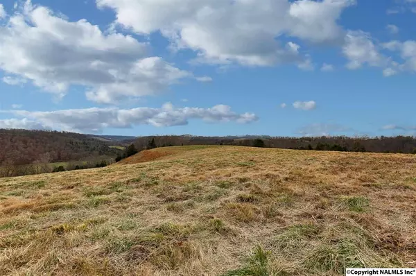 Frankewing, TN 38459,Chicken Creek Road