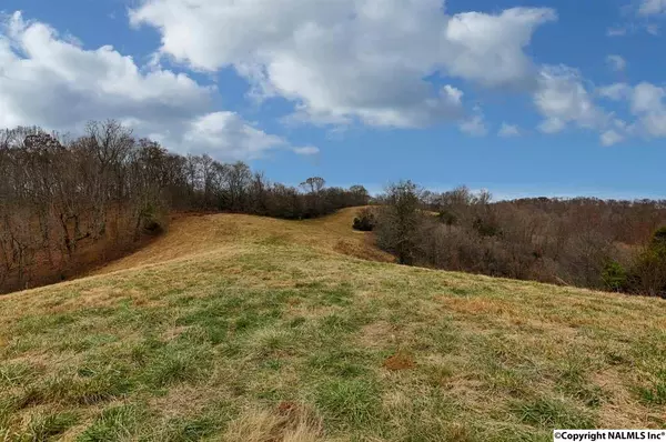 Frankewing, TN 38459,Chicken Creek Road