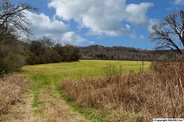 Frankewing, TN 38459,Mcburg-Dellrose Road