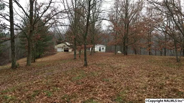 827 Petty Hollow Road, Prospect, TN 38477