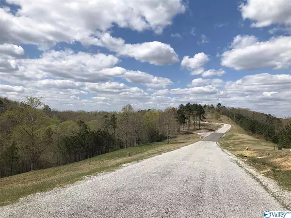 Cedar Bluff, AL 35959,24 County Road 767