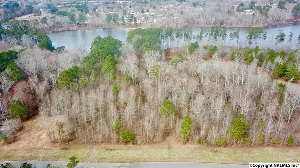 LOT 3 Goose Pond Island Drive,  Scottsboro,  AL 35769