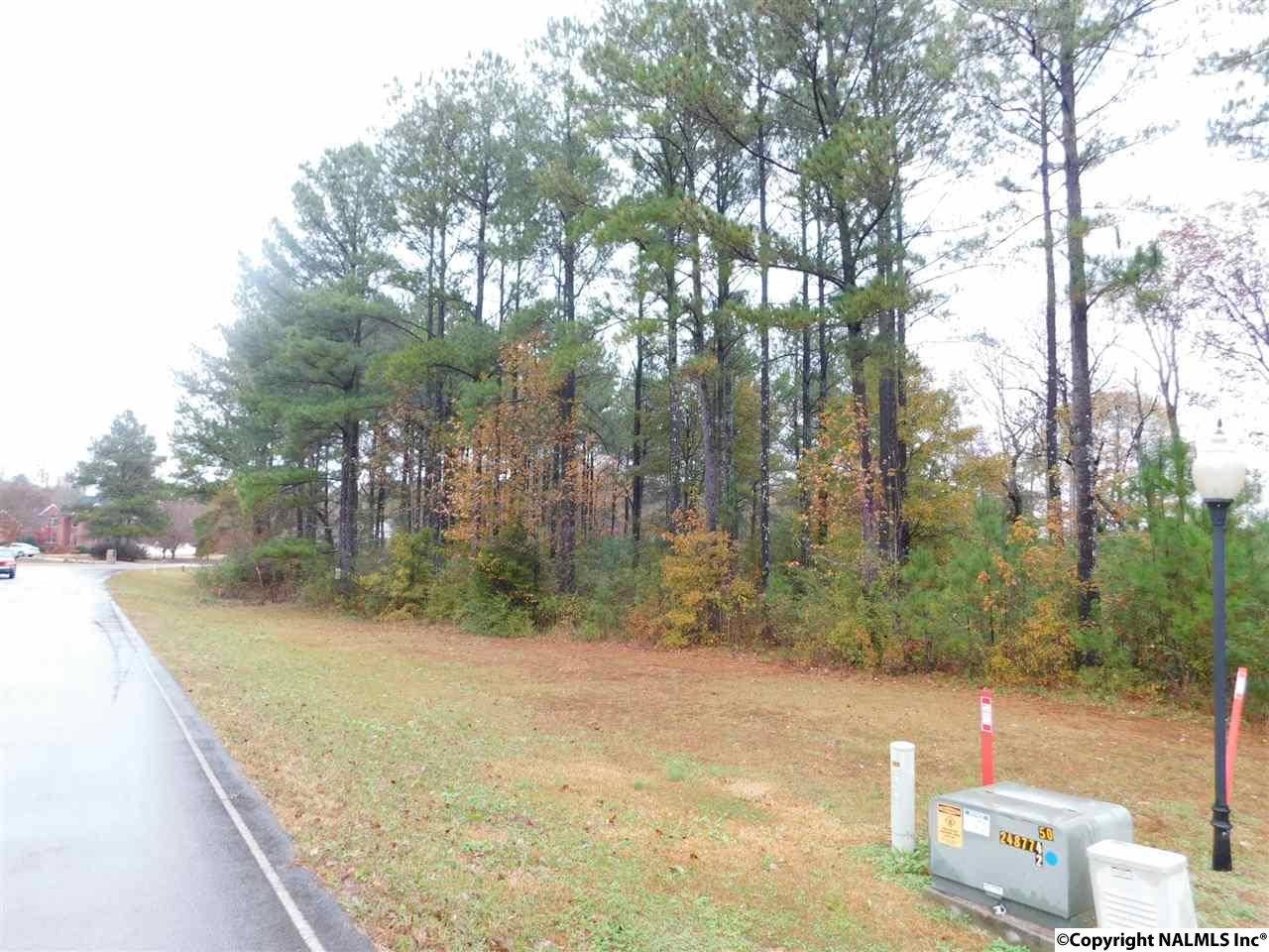 Cullman, AL 35057,0 S Montcrest Drive
