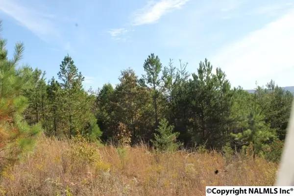 Lot 14 Landon Lane, Fort Payne, AL 35967