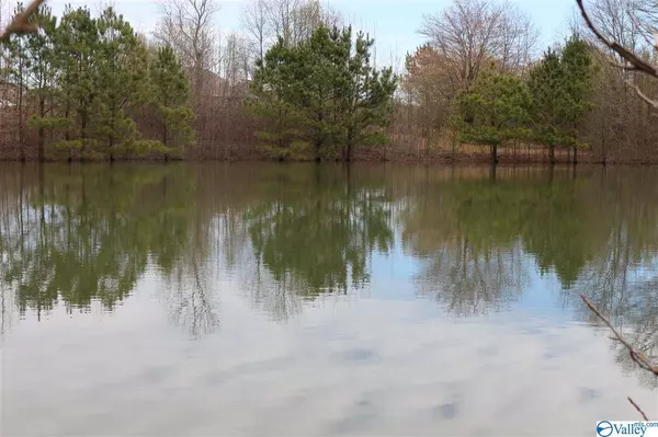 Arab, AL 35016,0 Shoal Creek Trail