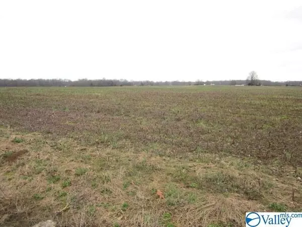 Lester, AL 35647,11299 Bud Bates Road