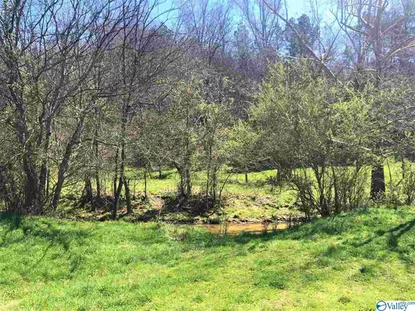 0 Kelly Creek Road, Ardmore, TN 38449