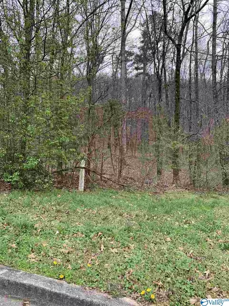 LOT 23 Hualapai Circle, Guntersville, AL 35976