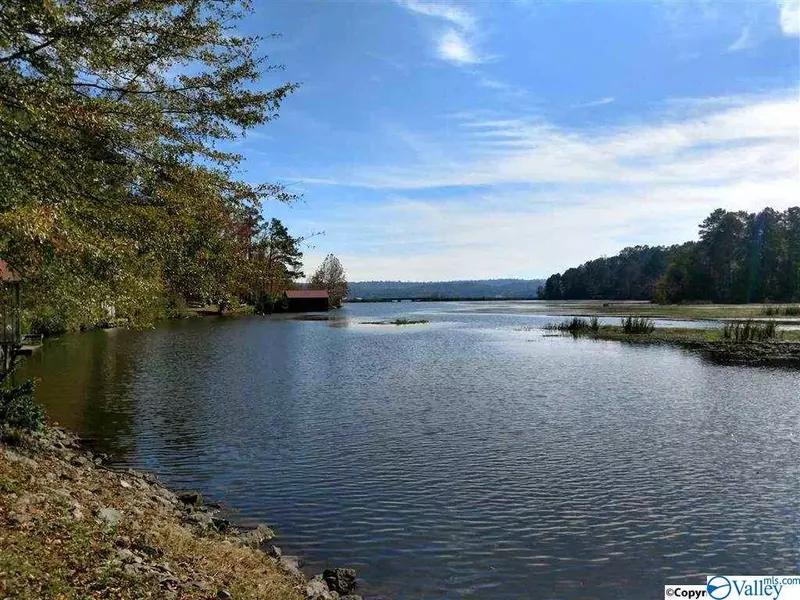 401 Douglas Drive, Guntersville, AL 35976