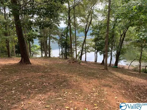 239 Redstone Drive, Scottsboro, AL 35769