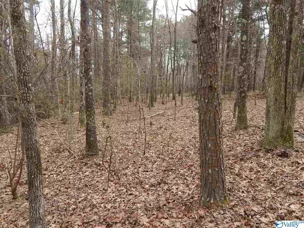 Lot 17 Bear Creek Trail, Fort Payne, AL 35967