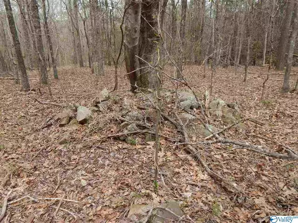 Fort Payne, AL 35967,Lot 17 Bear Creek Trail