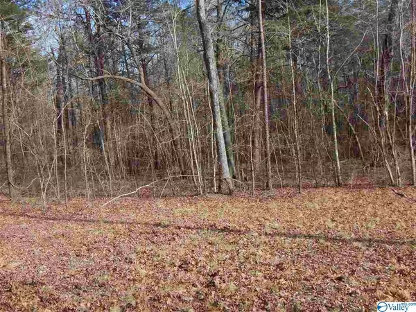 Lot 2 Road 935, Mentone, AL 35984