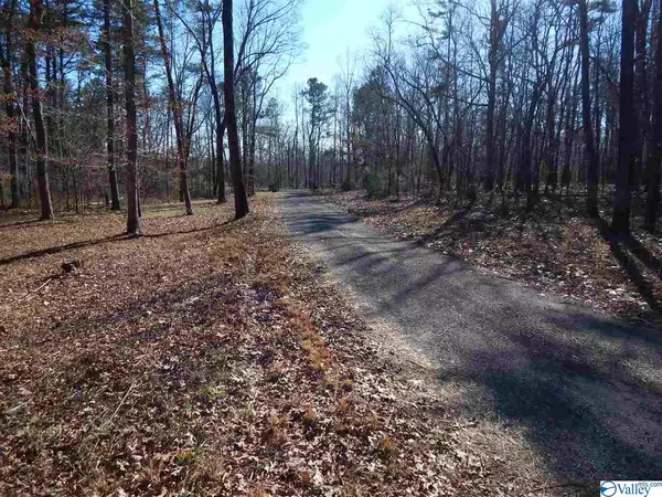 Mentone, AL 35984,lot 3 Road 935