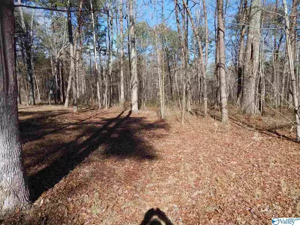 Mentone, AL 35984,lot 3 Road 935