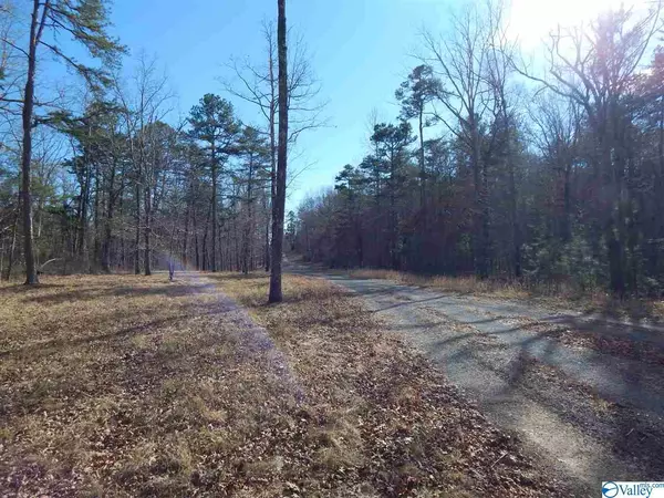 Mentone, AL 35984,LOT 4 Road 935