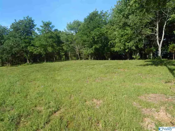 Lot 33 County Road 1025, Fort Payne, AL 35967