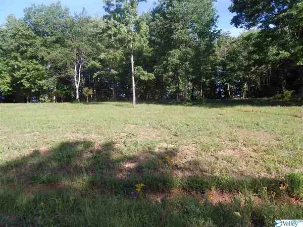 Fort Payne, AL 35967,Lot 33 County Road 1025