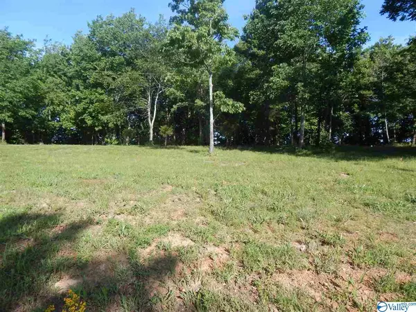 Fort Payne, AL 35967,Lot 33 County Road 1025