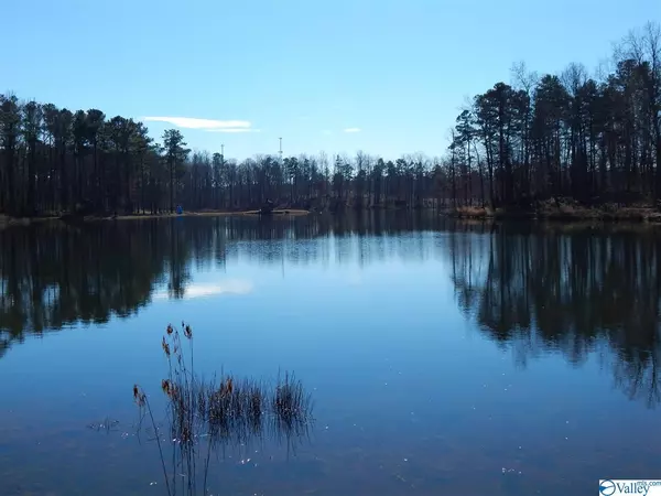 LOT 33 Hidden Lakes Drive, Mentone, AL 35984