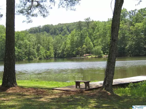 Ashville, AL 35953,585 Hummingbird Lane