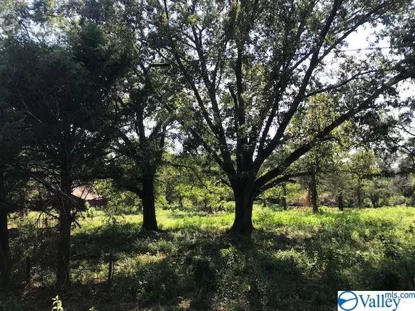 lot 1 Danville Road, Danville, AL 35619