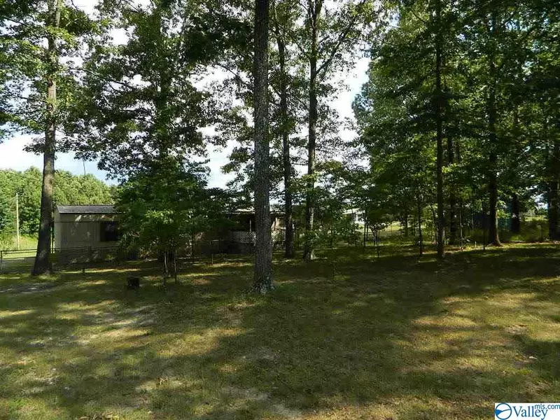 350 County Road 497, Flat Rock, AL 35966