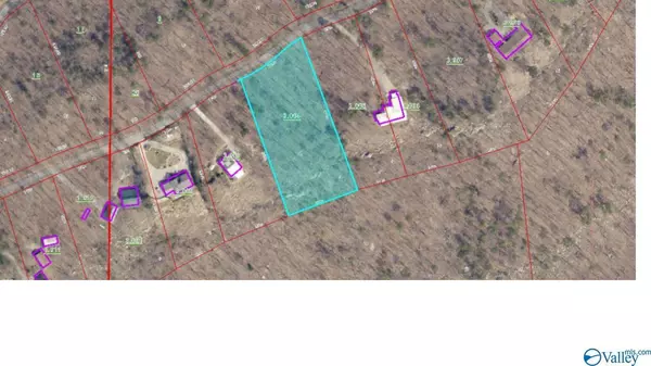 Lot 8 County Road 848, Mentone, AL 35984