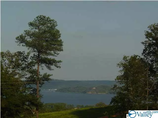 26 Legendary Drive, Guntersville, AL 35976