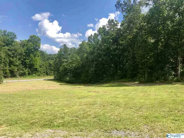 Attalla, AL 35954,675 Walden Hollow Road