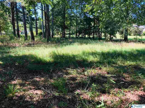 Centre, AL 35960,Lot 4 Spring Creek Campground