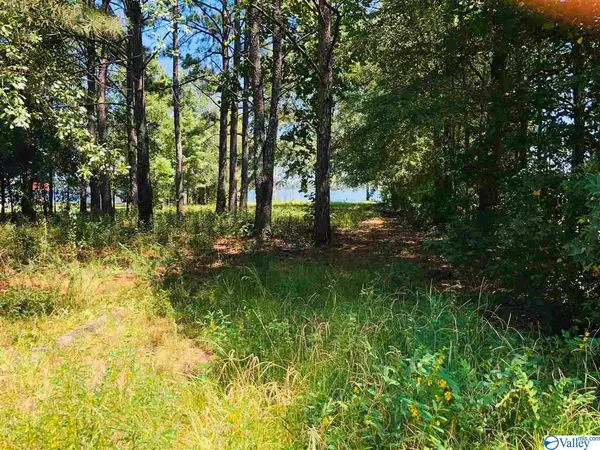 Centre, AL 35960,Lot 4 Spring Creek Campground