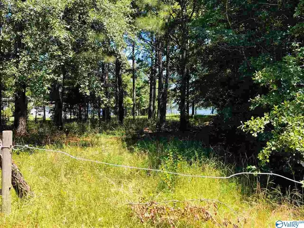 Centre, AL 35960,Lot 4 Spring Creek Campground