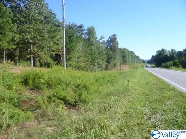 5500 Highway 137, Valley Head, AL 35989