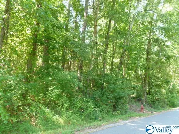 Guntersville, AL 35976,Point Of Pines