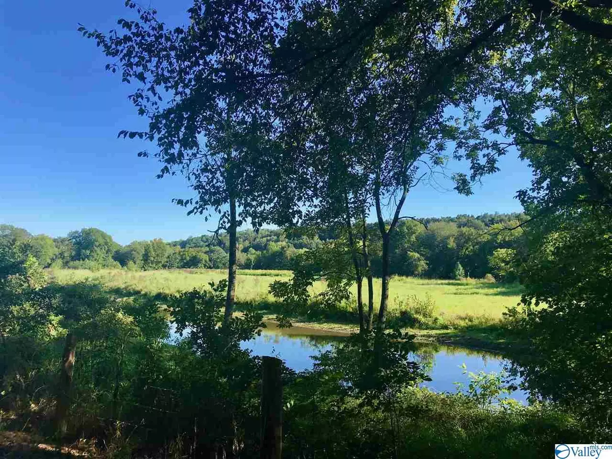 Lester, AL 35647,0 Walnut Grove Road