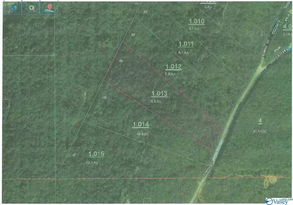 Mentone, AL 35984,10.8 ACRES N County Road 89