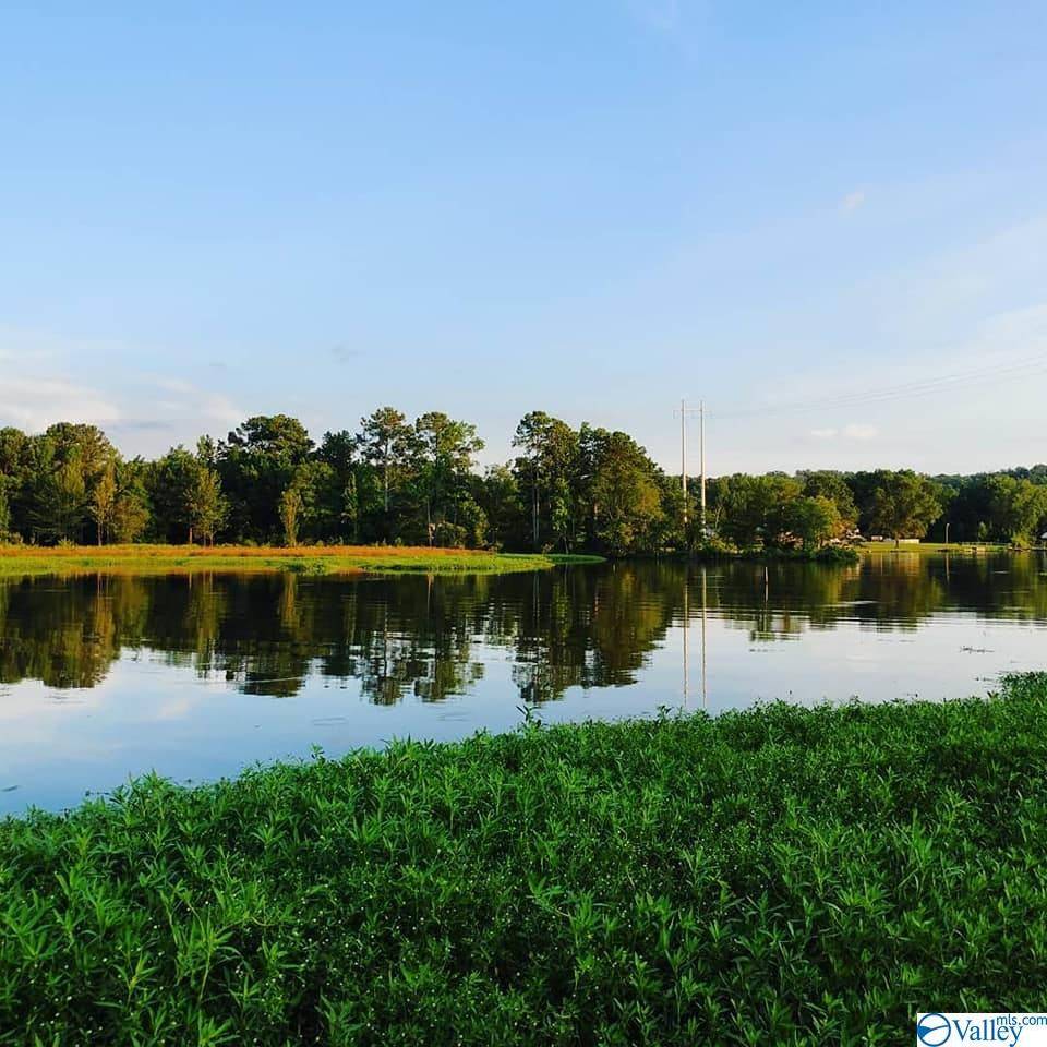 Southside, AL 35907,2181 S Cedar Bend Road