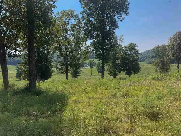 Frankewing, TN 38459,0 Parker Lane