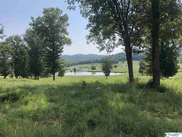 Frankewing, TN 38459,0 Parker Lane