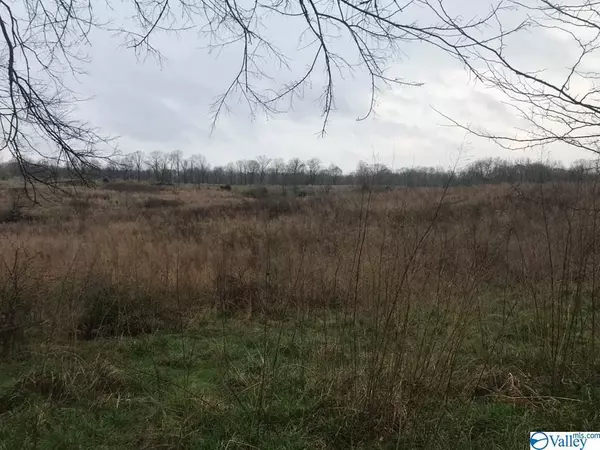 Lester, AL 35647,30149 Easter Ferry Road