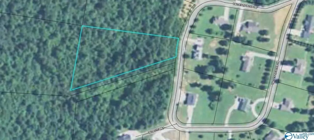 Trenton, GA 30752,0 Valley Estates Drive