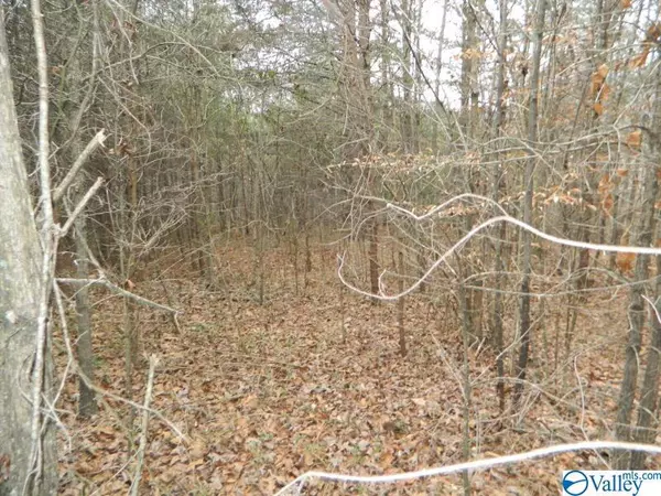 Trenton, GA 30752,0 Valley Estates Drive