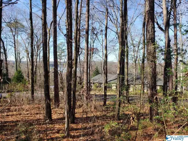 Hickory Hill Drive, Guntersville, AL 35976